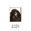 It Isn’t Perfect But It Might Be (from “Bridget Jones: Mad About the Boy” Original Motion Picture Soundtrack)