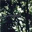 Lucky Givers/Lucky Town EP