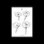 Poppies - EP