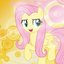 flutterwonder ︻デ┳═ー