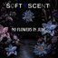 No Flowers in June - Single