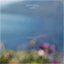 Shoreless