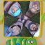 wormy