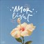 Amor Light