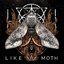 Like a Moth