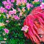 Blow My High + Pink Everywhere