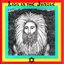 Lion In The Jungle