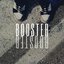 Booster