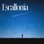 Escallonia