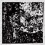 You Are Safe From God Here [Explicit]