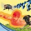 Rubber Traits (EP)
