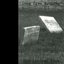Long Live Nothing / The Lazarus Plot