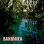 Africa Express Presents... Bahidorá