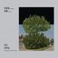 当代古琴曲 Contemporary Duets for Guqin
