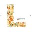 Single 01 --L--