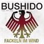 Fackeln im Wind 2010 (feat. Kay One) - Single