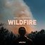 Wildfire