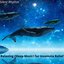 Relaxing (Sleep Music) for Insomnia Relief