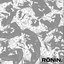Tales of the ronin (instrumentals)