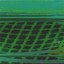 Morphogenetic Fields