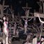LONG LIVE THE OLD DEAD GODS (Collector's Bundle)