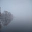 Fog