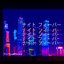 Night Fever  [ナイト フィーバー]