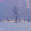 A Winter Story
