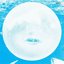 summerteeth [20th Anniversary Deluxe Edition]