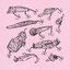 Catch & Release [Explicit]