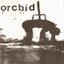 Orchid & Pig Destroyer Split