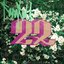 27 - Single