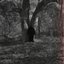 Dusk - Single