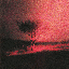 Piss In The Wind [Explicit]