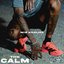 The Calm