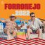 Forronejo - O Melhor do Forró e Sertanejo