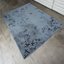 cell division rug
