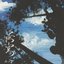 是空 / Zekuu