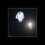 The Ring - Single