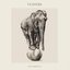 Vespers, Tracks 1-4