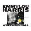 Wrecking Ball (Deluxe Version)