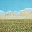 Dreams of a Sunflower River