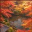 ambient kyoto 0095