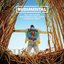 These Days (feat. Jess Glynne, Macklemore & Dan Caplen) [Remix EP]