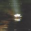 Waterlily
