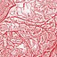 Materializing Defective Fascia