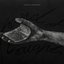 Hand of Thought