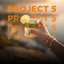 Project 5