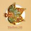 Windham Hill Chill Out