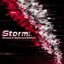 Storm: Slowed & Nightcore Edition